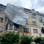 cod portocaliu de vijelie (9)