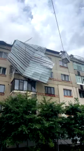 cod portocaliu de vijelie (9)