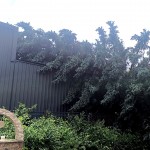 cod portocaliu de vreme rea (1)