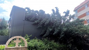 cod portocaliu de vreme rea (1)