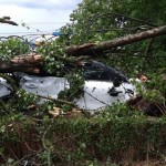 cod portocaliu de vreme rea (3)