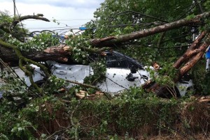 cod portocaliu de vreme rea (3)