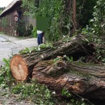 cod portocaliu de vreme rea (5)