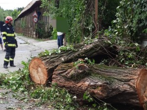 cod portocaliu de vreme rea (5)