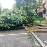 cod portocaliu de vreme rea (6)