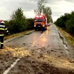 copac cazut pe carosabil arges (3)