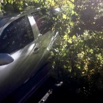 eveniment - isu arges (2)