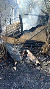 eveniment - isu arges (3)