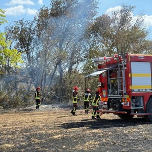 incendiu padure Franta - Narbonne (1)