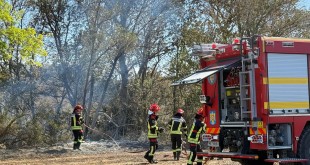 incendiu padure Franta - Narbonne (1)