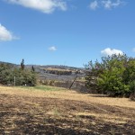 incendiu padure Franta - Narbonne (3)