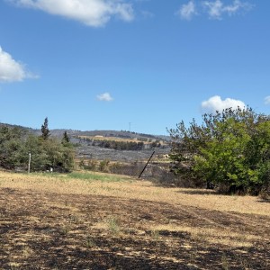 incendiu padure Franta - Narbonne (3)