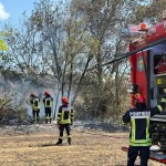 incendiu padure Franta - Narbonne (5)