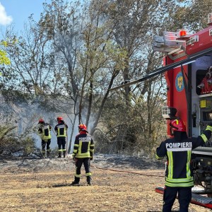 incendiu padure Franta - Narbonne (5)