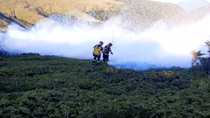 incendiu padure arges (1)