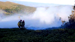 incendiu padure arges (2)