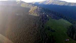 incendiu padure arges (3)