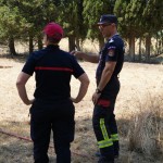 incendiu padure franta (1)