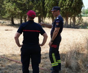 incendiu padure franta (1)