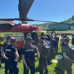 incendiu padure franta (10)