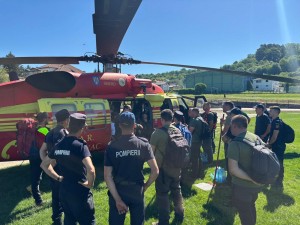 incendiu padure franta (10)