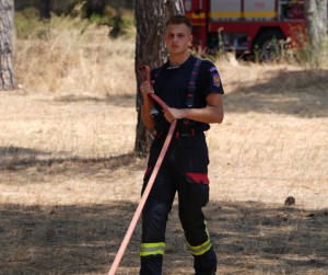 incendiu padure franta (11)