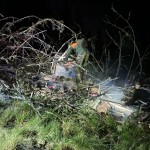 incendiu padure franta (2)