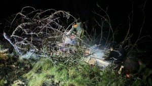 incendiu padure franta (2)