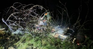 incendiu padure franta (2)