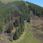 incendiu padure franta (3)