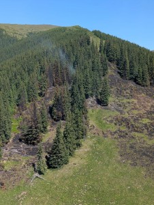 incendiu padure franta (3)