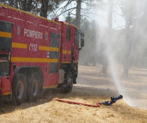 incendiu padure franta (4)