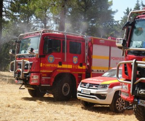 incendiu padure franta (8)