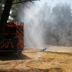 incendiu padure franta (9)