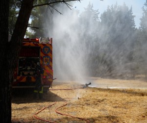 incendiu padure franta (9)