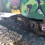 incendiu tren arges (3)