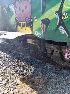 incendiu tren arges (3)