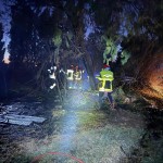 intervenție a pompierilor români (1)