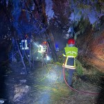 intervenție a pompierilor români (7)