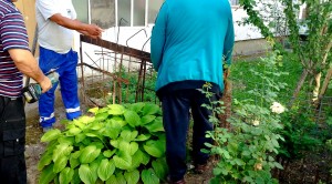 ocuparea abuzivă a domeniului public (2)