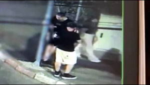 vandalism pitesti (11)