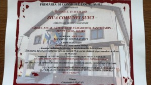 Șuici Târg tradițional (3)