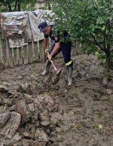 09fcb290-6c46-4f68-bb2b-1c026c4e921a