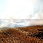 0d712299-558e-4c34-93fc-604ca39c524c