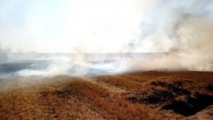 0d712299-558e-4c34-93fc-604ca39c524c