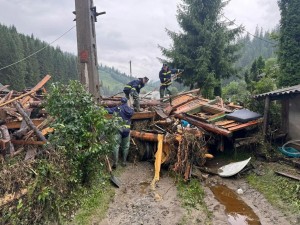 20e28301-3f2c-437b-bad0-634bd1b9c8bc