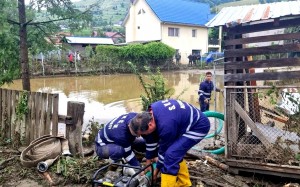 5f06036b-c93a-4f7d-9670-ea5d969364be