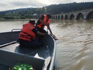 7674ca2f-4f2e-4879-bfda-51e3489dcedd