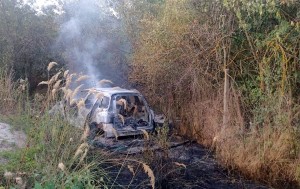 Incendiu de vegetație uscată (1)