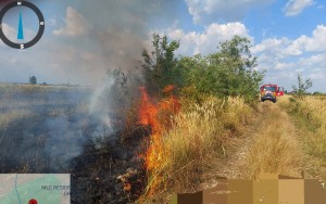 Incendiu de vegetație uscată (2)